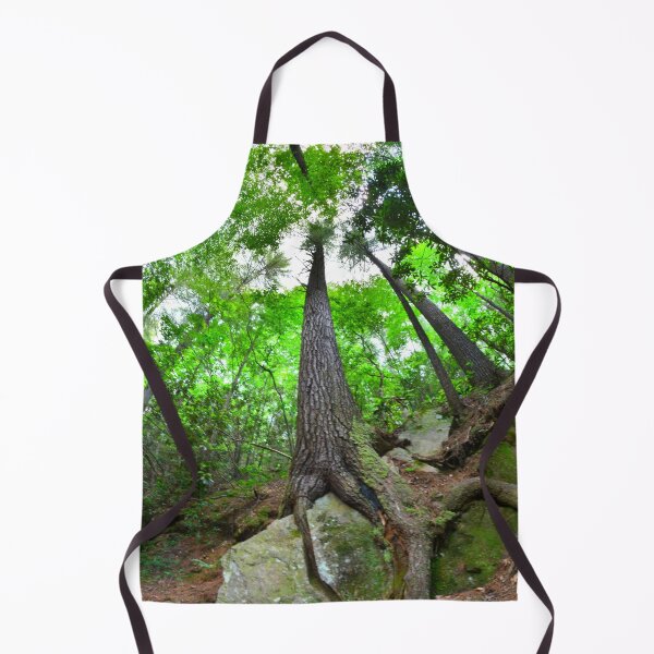 Item preview, Looking Up The Pines designed and sold by LisaWootenPhoto.