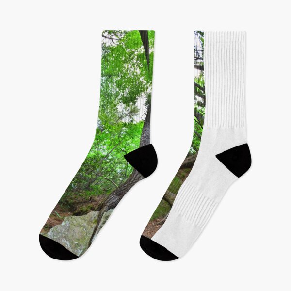 Item preview, Looking Up The Pines designed and sold by LisaWootenPhoto.
