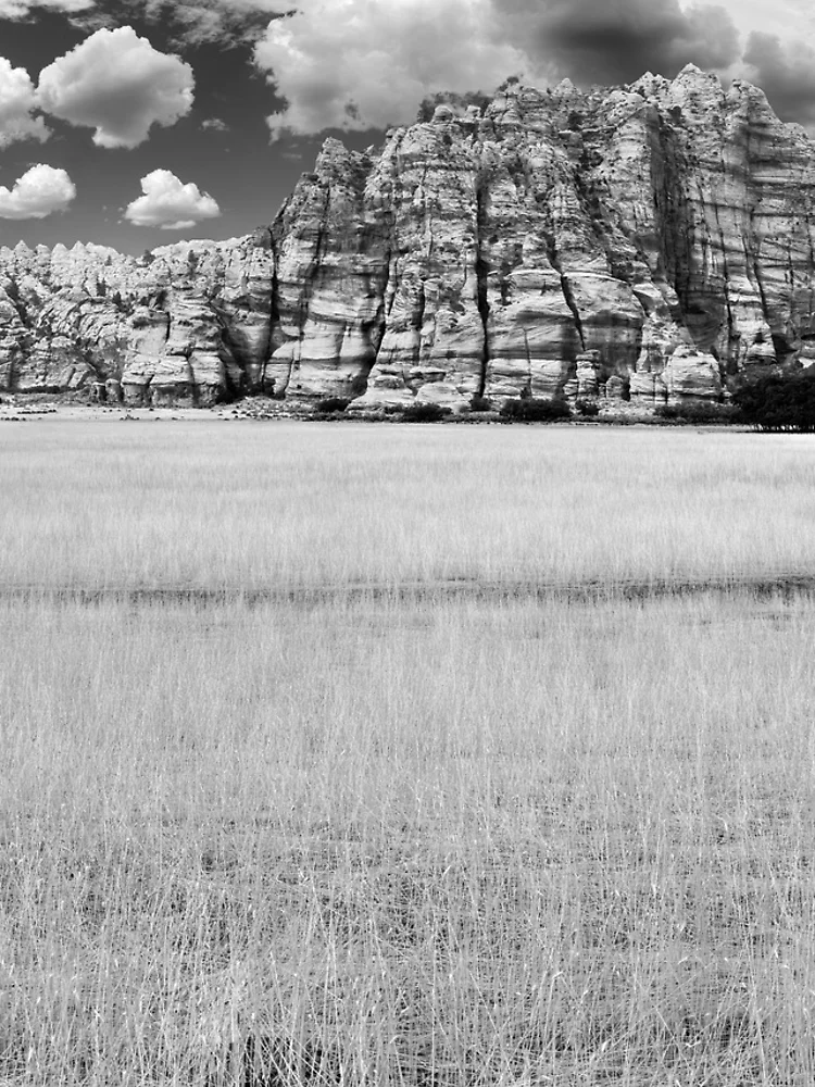 Thumbnail 5 of 5, iPhone Case, Zion designed and sold by The Studio Red.