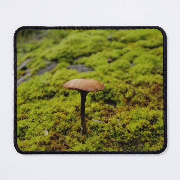 Item preview, Small brown mushroom designed and sold by iAmAnAstronaut-.