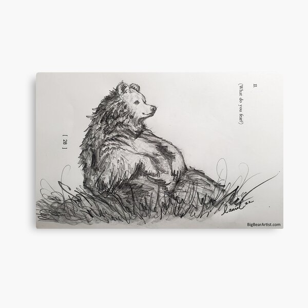 Big Bear Drawing Canvas Print
