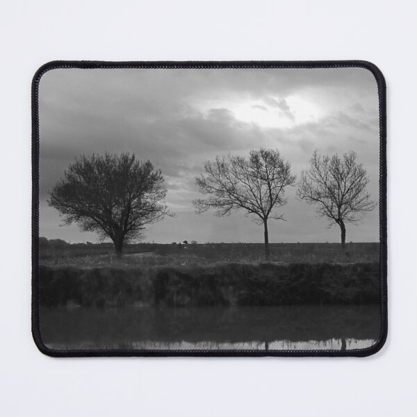 Item preview, Three trees designed and sold by Paul Pasco.