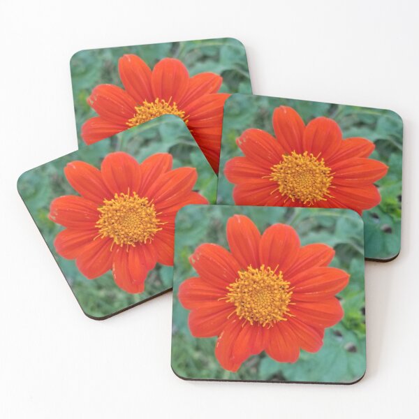 Item preview, Mexican Sunflower designed and sold by iAmAnAstronaut-.
