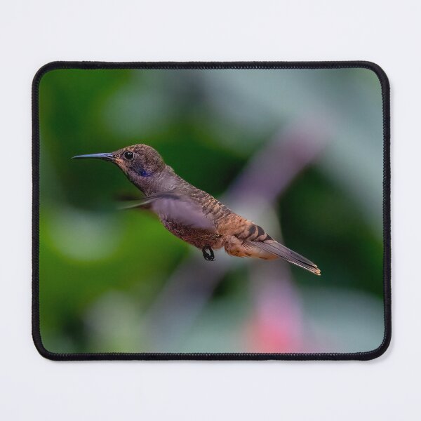 Item preview, Brown Hummingbird In Flight designed and sold by SafariByMarisa.