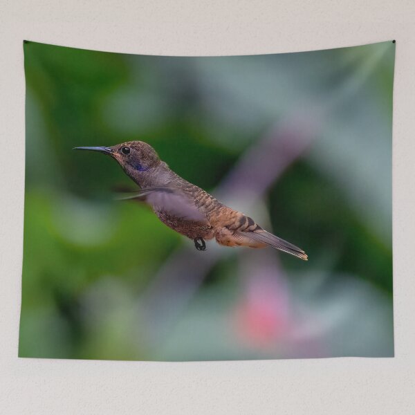 Item preview, Brown Hummingbird In Flight designed and sold by SafariByMarisa.