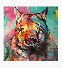 Wombat Photographic Print