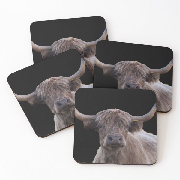 Item preview, A scottish highland cattle abroad designed and sold by Animal-Photos.