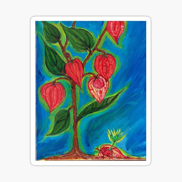 Lantern Plant Sticker
