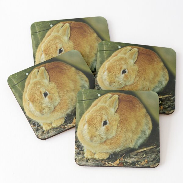 Item preview, Cute Bunny designed and sold by ReljaX.