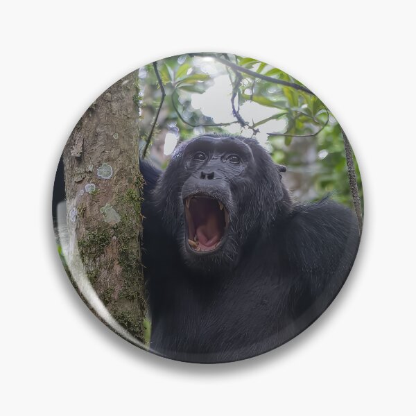 Item preview, Chimp Yelling in the Jungle designed and sold by SafariByMarisa.