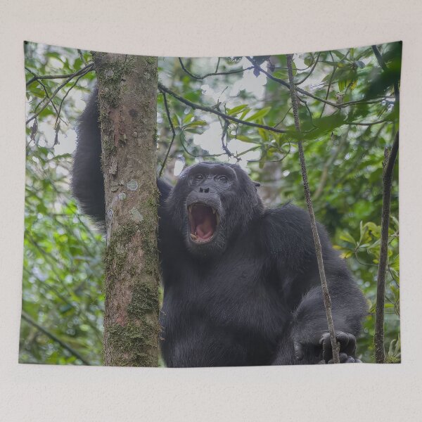 Item preview, Chimp Yelling in the Jungle designed and sold by SafariByMarisa.