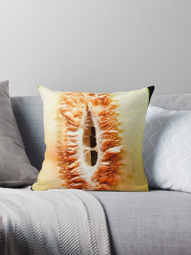 https://ih1.redbubble.net/image.4628100895.2568/throwpillow,small,750x1000-bg,f8f8f8.jpg