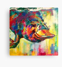 Duck-Billed Platypus - Australian mammal Metal Print