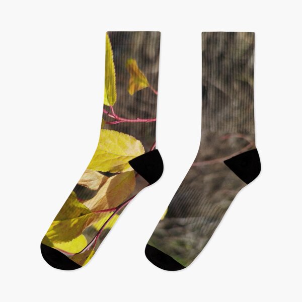 Item preview, Nature designed and sold by Ivan  Design.