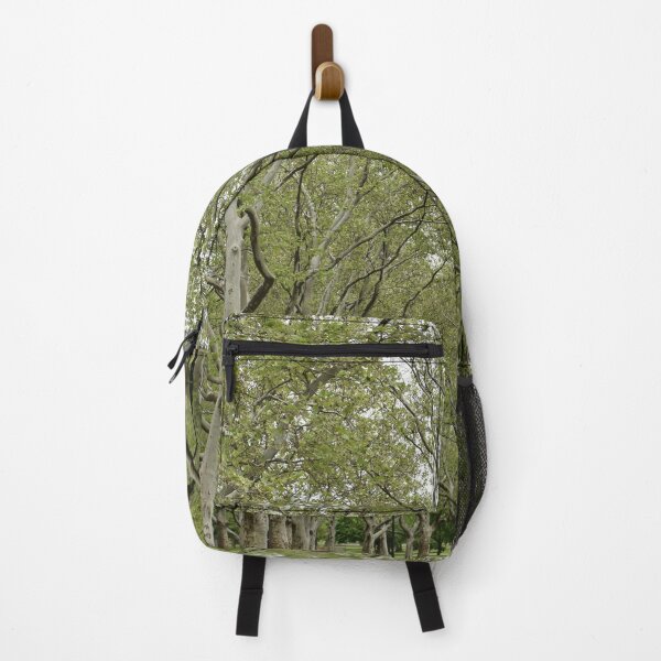 Item preview, Trees in the Flushing Meadows Park, Queens, New York City, USA designed and sold by NandaniBridglal.