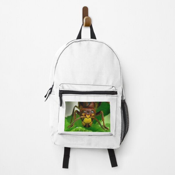 Item preview, The hornet's eyes designed and sold by Animal-Photos.