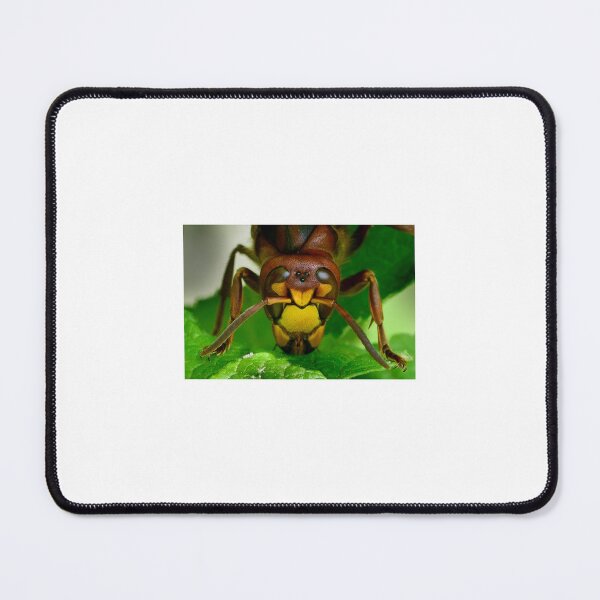 Item preview, The hornet's eyes designed and sold by Animal-Photos.