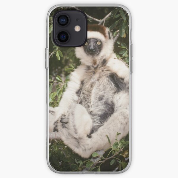 The sifaka will see you now iPhone Soft Case