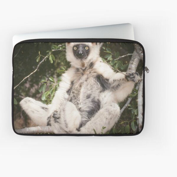 The sifaka will see you now Laptop Sleeve