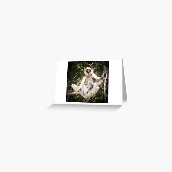 The sifaka will see you now Greeting Card