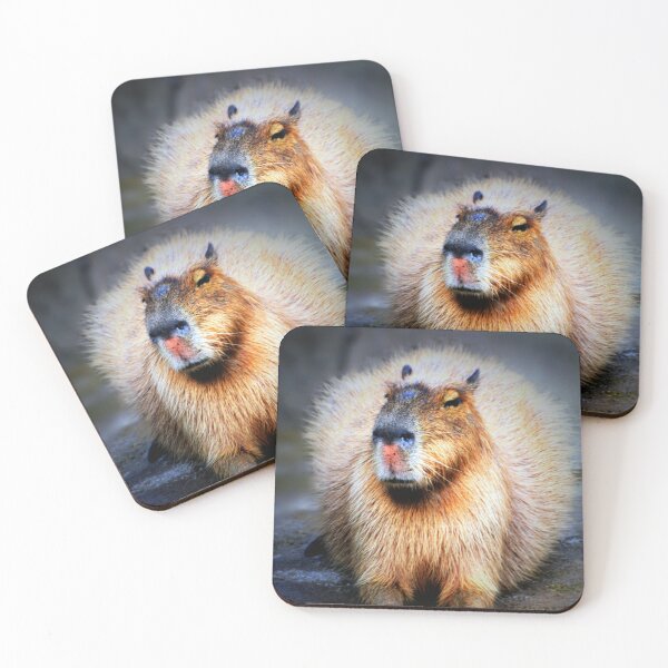 Item preview, Capybara  designed and sold by Savannah Gibbs.
