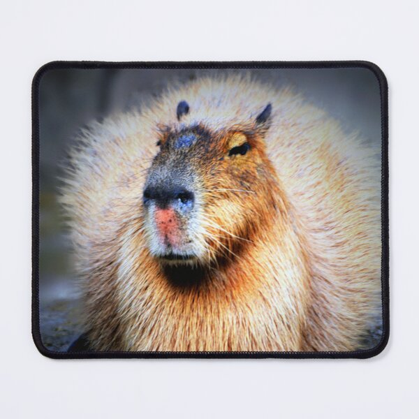 Item preview, Capybara  designed and sold by Savannah Gibbs.
