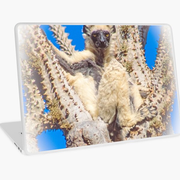 Living in the spiny forest Laptop Skin