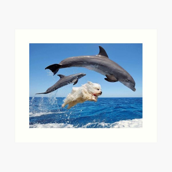 Item preview, dogs and dolphins designed and sold by Stefan-dizain12.