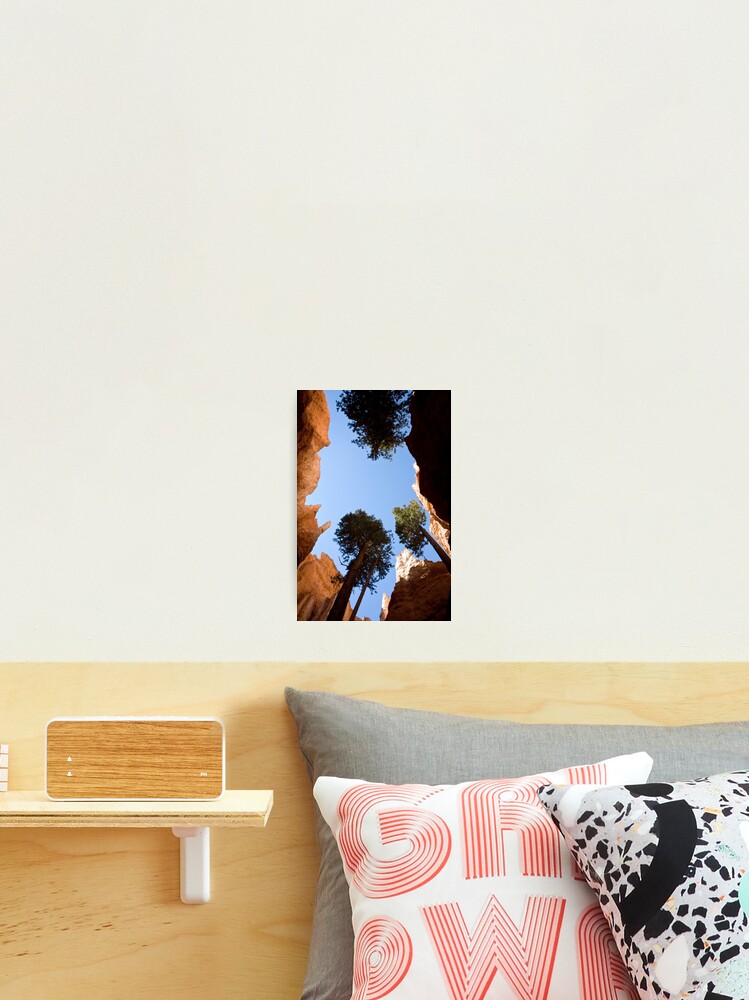 Thumbnail 2 of 3, Photographic Print, Rising designed and sold by RagingKitty.