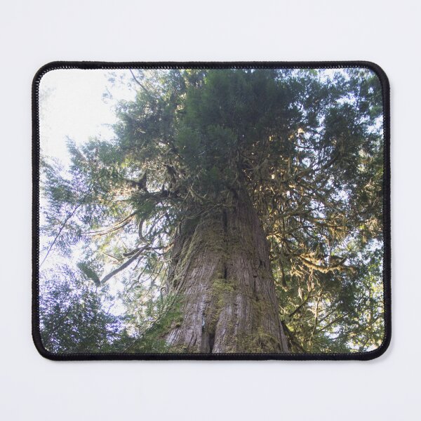 Item preview, Giant designed and sold by Jacquelie.