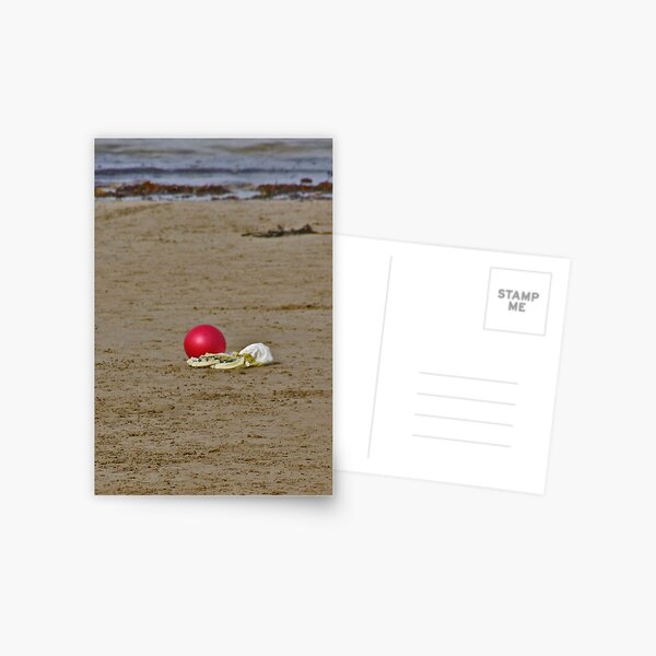RB @ the beach Postcard