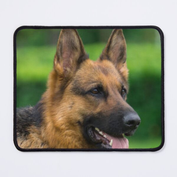 Item preview, Curious German Shepherd Head designed and sold by DesignVertex.