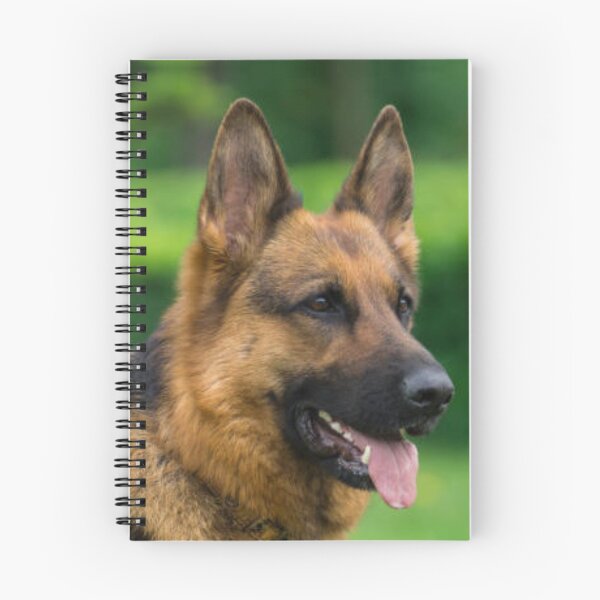 Item preview, Curious German Shepherd Head designed and sold by DesignVertex.