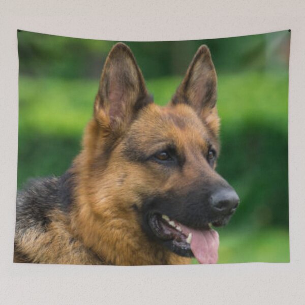 Item preview, Curious German Shepherd Head designed and sold by DesignVertex.