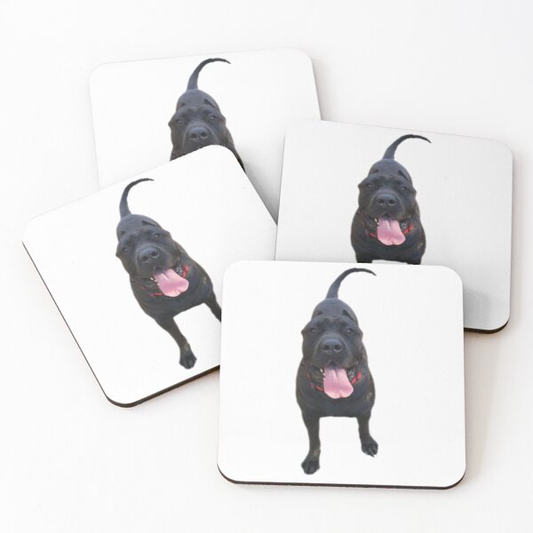 Item preview, the dog waiting for the command designed and sold by Stefan-dizain12.