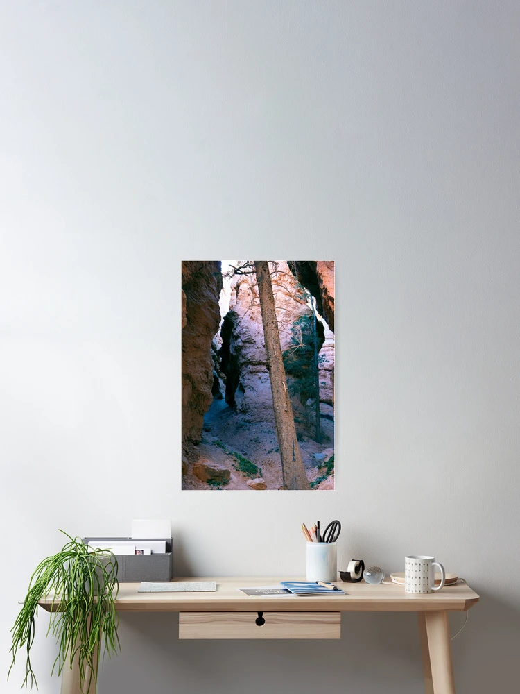 Aperçu 2 sur 3. Poster avec l'œuvre Which Way créée et vendue par The Studio Red.