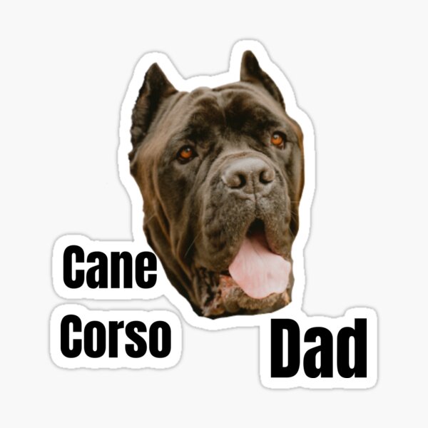 Cane Corso Dad Sticker