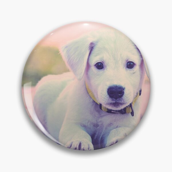 Item preview, abundancemind, little puppy, 432553, young dog, abundance, sea of abundance designed and sold by AbundanceMind.