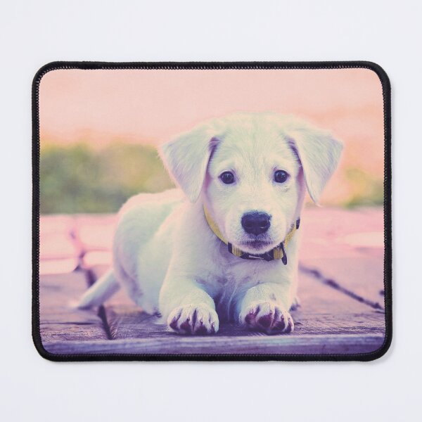 Item preview, abundancemind, little puppy, 432553, young dog, abundance, sea of abundance designed and sold by AbundanceMind.