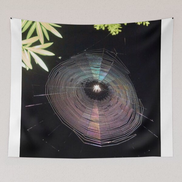 Item preview, Aesthetic Spider Web at Night designed and sold by Magironi.