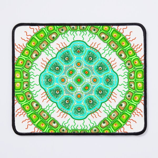 Item preview, Plant cellular mandala  designed and sold by Osher-BioArt.
