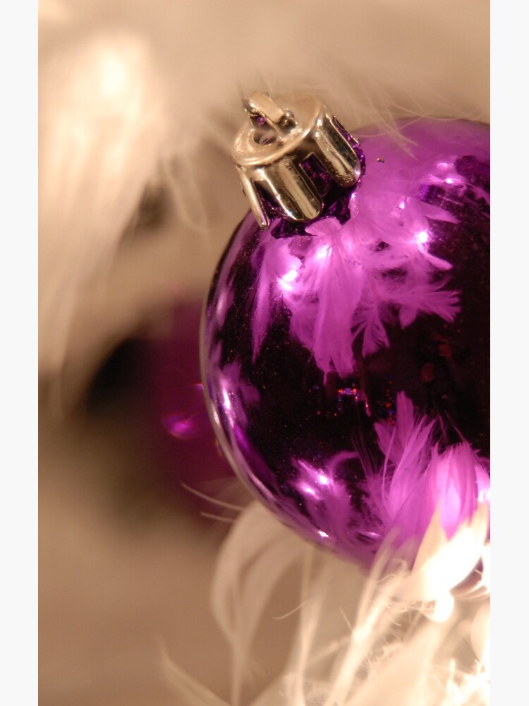 Purple & White by colgdrew