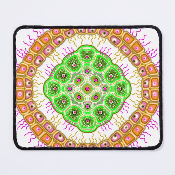 Item preview, Cellular mandala designed and sold by Osher-BioArt.