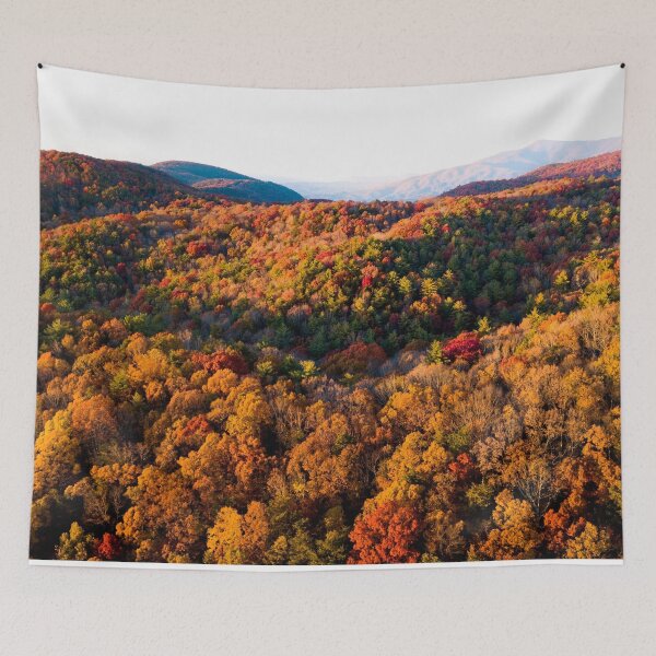 Item preview, FLORA #31 - Autumn Colors Explode on Mountaintop Forest designed and sold by DEL-Productions.