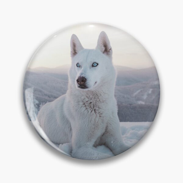 Artikelvorschau, SCHÖNE SNOWY WOLF HUNDEFOTOGRAFIE entworfen und verkauft von iridescentarts.