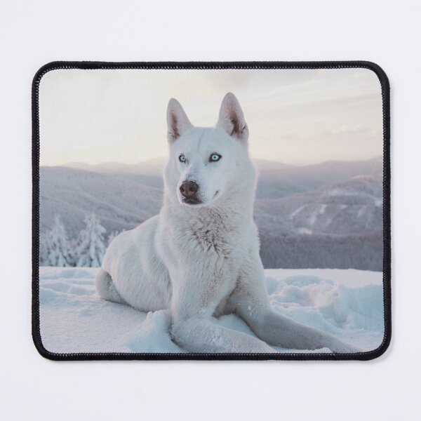 Item preview, BEAUTIFUL SNOWY WOLF DOG PHOTOGRAPHY designed and sold by iridescentarts.