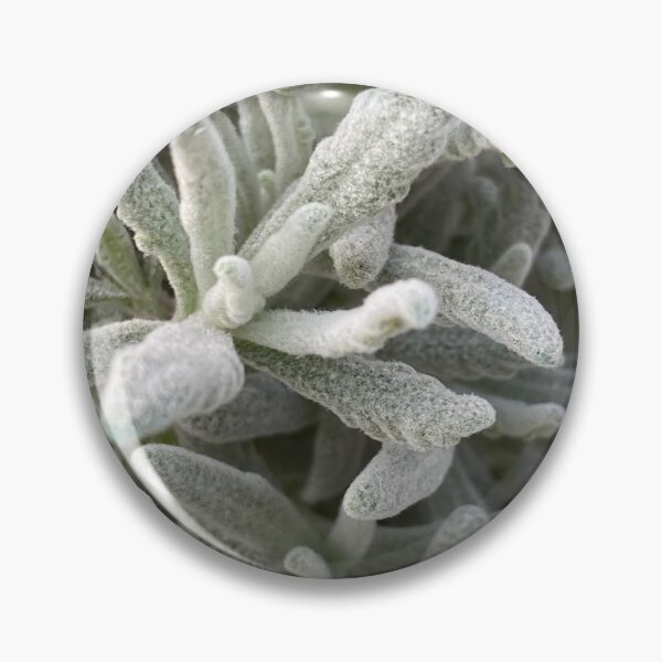 Item preview, Interesting fuzzy plant designed and sold by LifeSpice.
