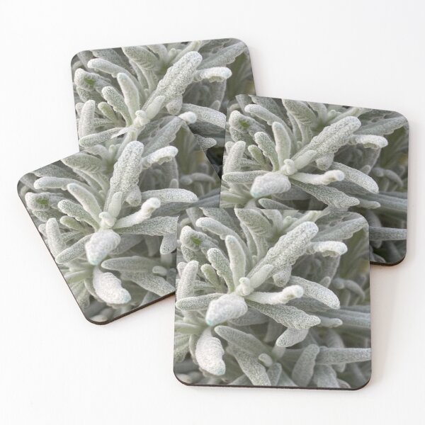 Item preview, Interesting fuzzy plant designed and sold by LifeSpice.