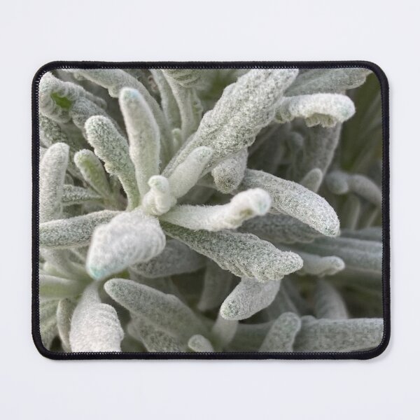 Item preview, Interesting fuzzy plant designed and sold by LifeSpice.