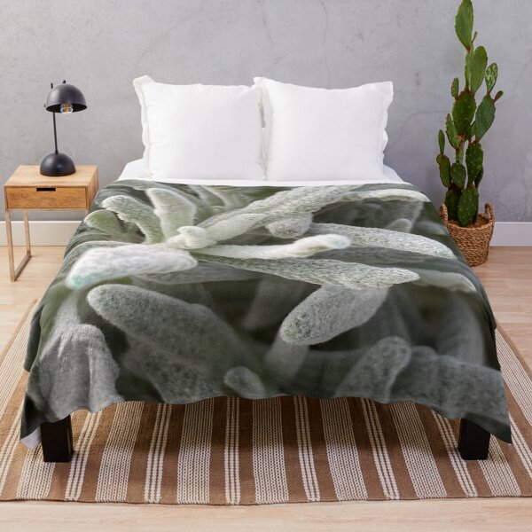 Item preview, Interesting fuzzy plant designed and sold by LifeSpice.